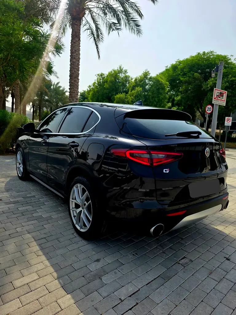 Alfa Romeo Stelvio 2.0 AT AWD (280 hp) - 9