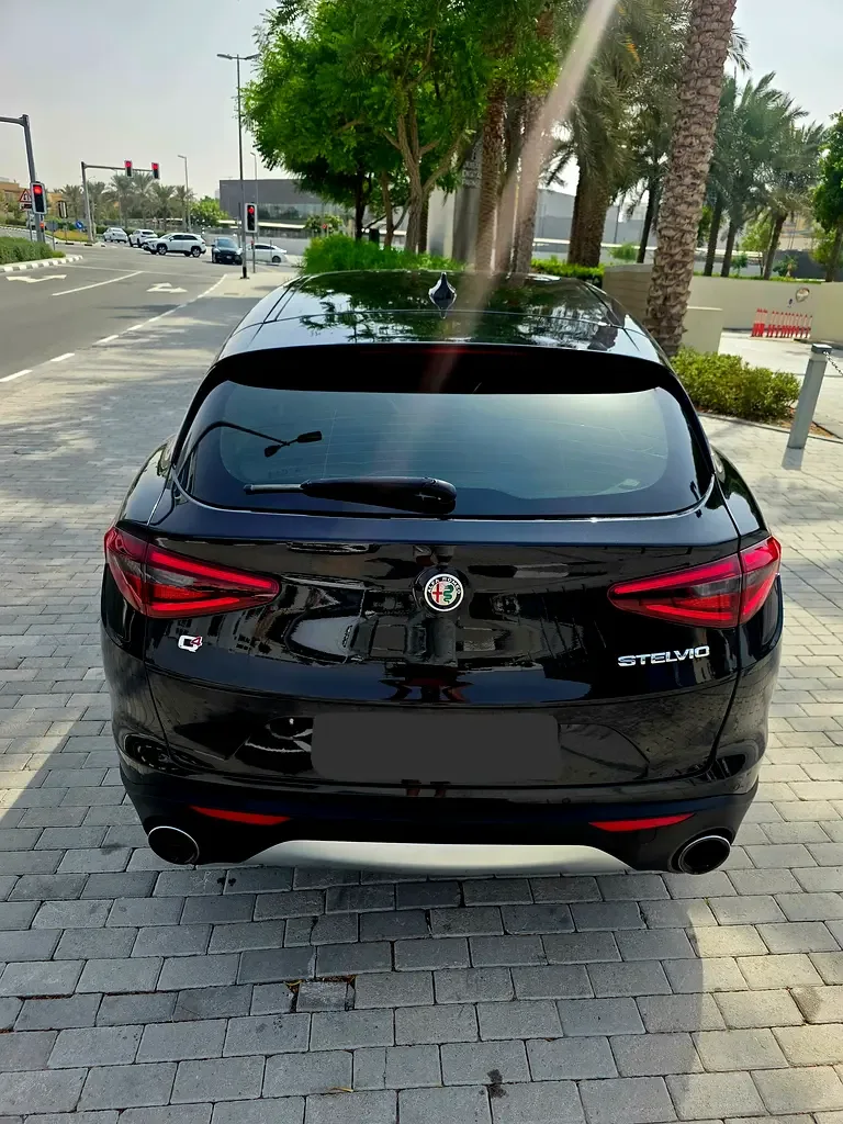 Alfa Romeo Stelvio 2.0 AT AWD (280 hp) - 11