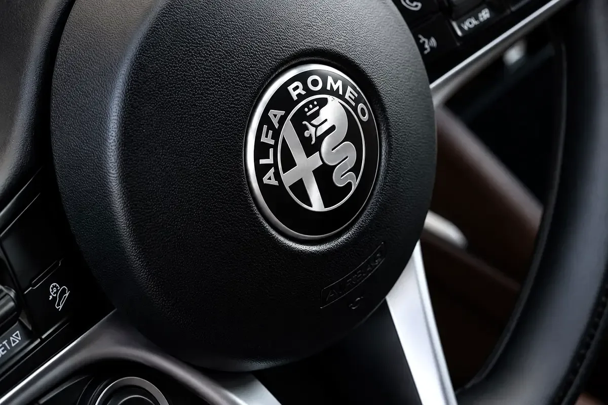 Alfa Romeo Stelvio 2.0 AT Q4 (280 حصان) - 14