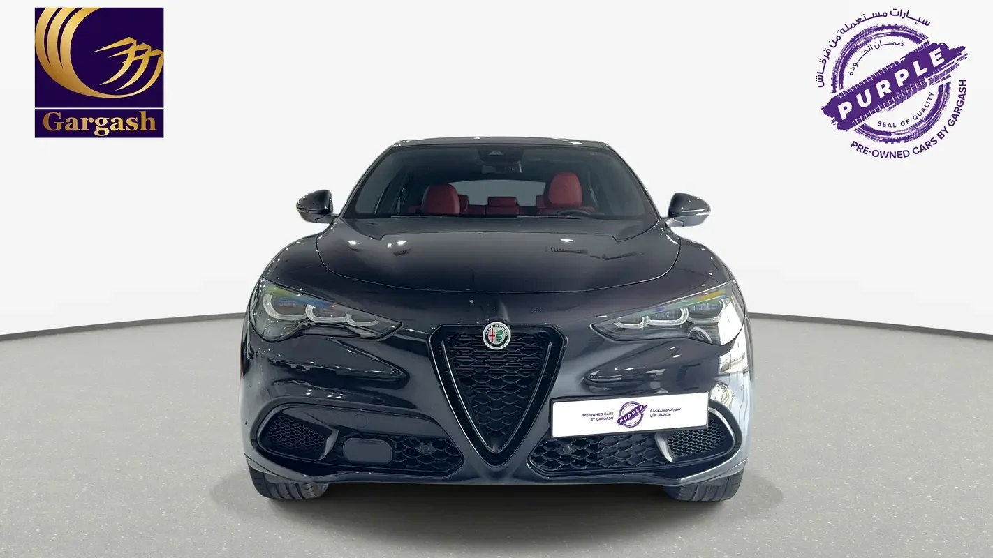 Alfa Romeo Stelvio 2.0 AT RWD (280 hp) - 2