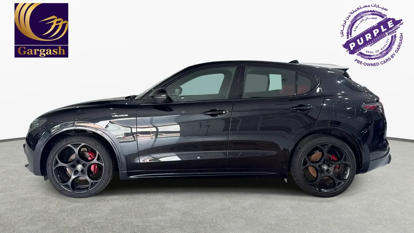 Alfa Romeo Stelvio 2.0 AT RWD (280 hp) - 3