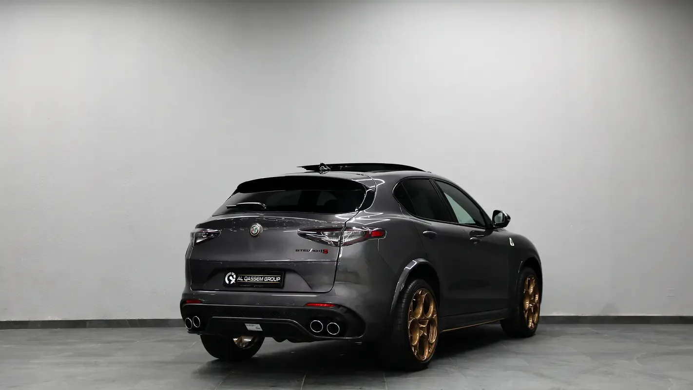 Alfa Romeo Stelvio 2.9 AT 4WD (520 حصان) - 6