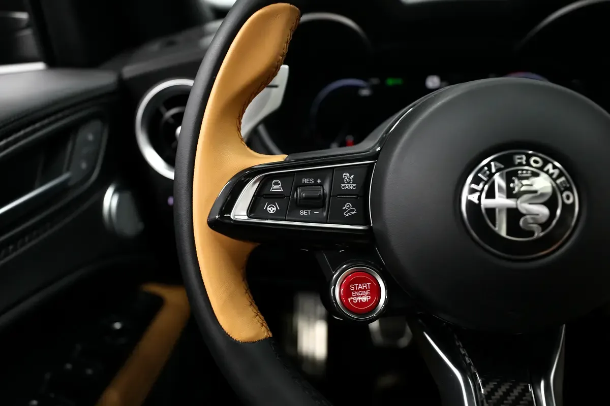 Alfa Romeo Stelvio 2.9 AT 4WD (520 حصان) - 14