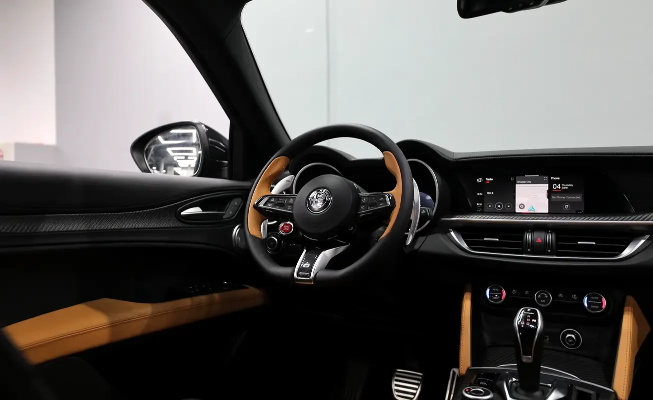 Alfa Romeo Stelvio 2.9 AT 4WD (520 حصان) - 16