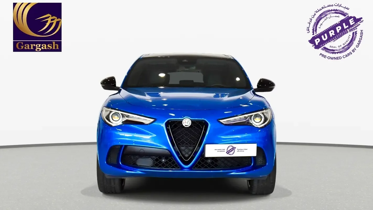 Alfa Romeo Stelvio 2.9 AT 4WD (520 hp) - 2