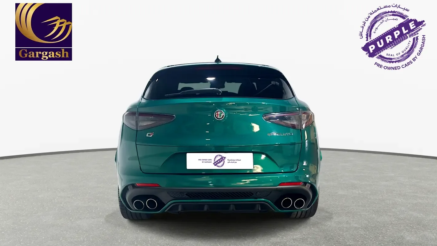 Alfa Romeo Stelvio 2.9 AT 4WD (520 حصان) - 5