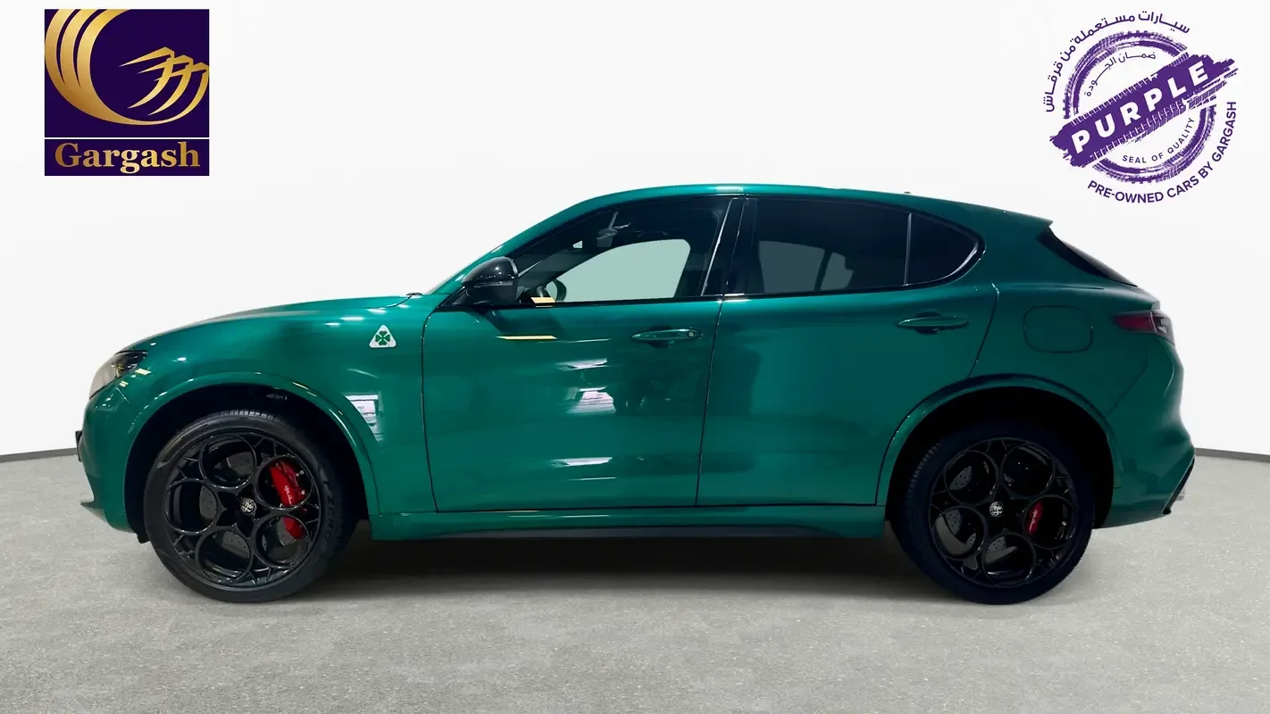 Alfa Romeo Stelvio 2.9 AT 4WD (520 حصان) - 3