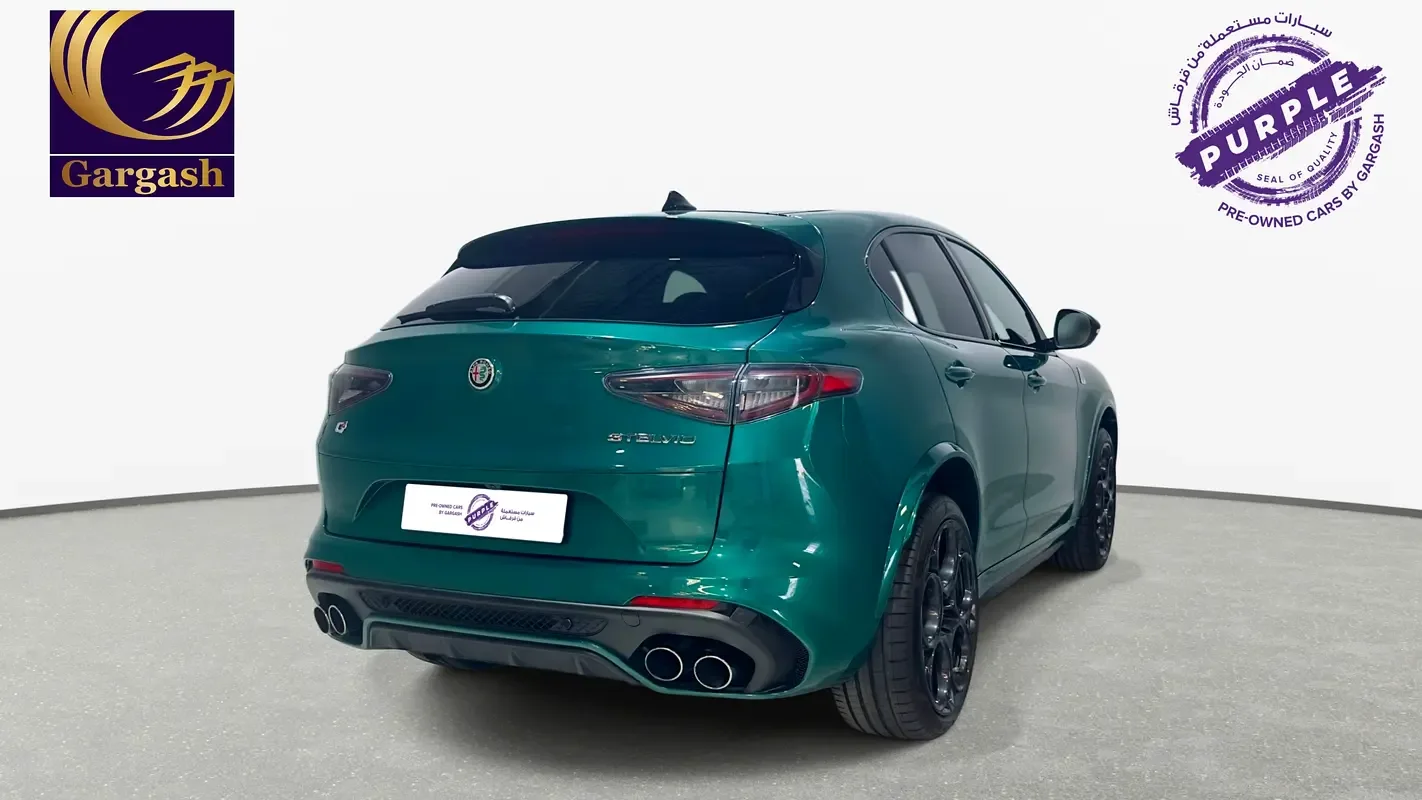 Alfa Romeo Stelvio 2.9 AT 4WD (520 حصان) - 7