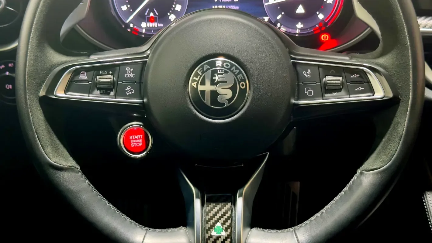 Alfa Romeo Stelvio 2.9 AT 4WD (520 حصان) - 13