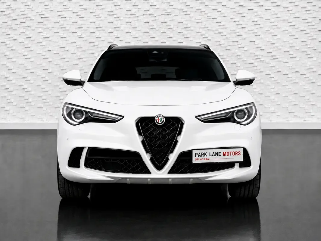 Alfa Romeo Stelvio 2.9 AT AWD (510 hp) - 2
