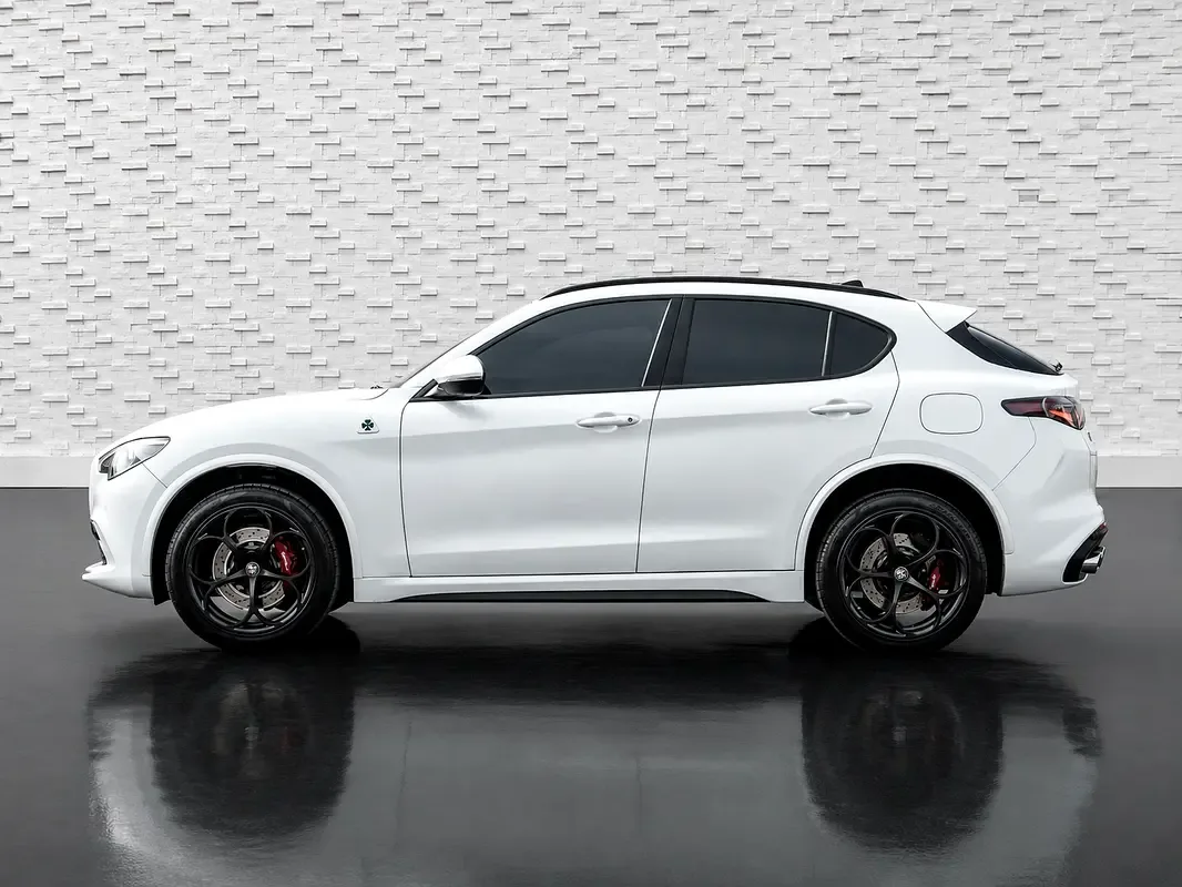 Alfa Romeo Stelvio 2.9 AT AWD (510 hp) - 6
