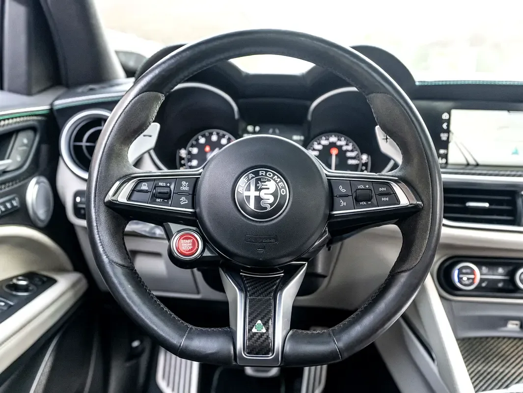 Alfa Romeo Stelvio 2.9 AT AWD (510 hp) - 18