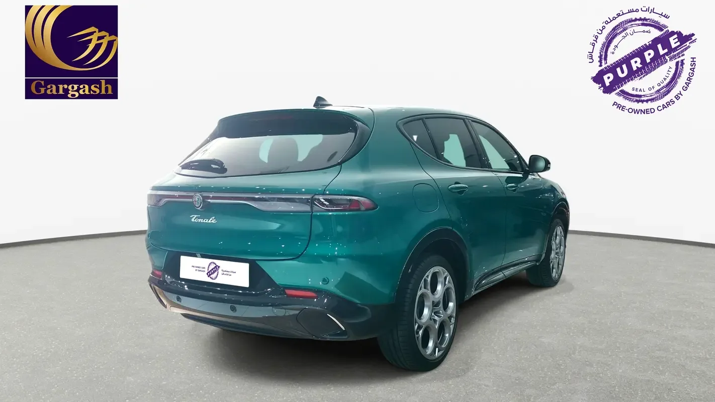 Alfa Romeo Tonale 2.0 AT 4WD (256 hp) - 6