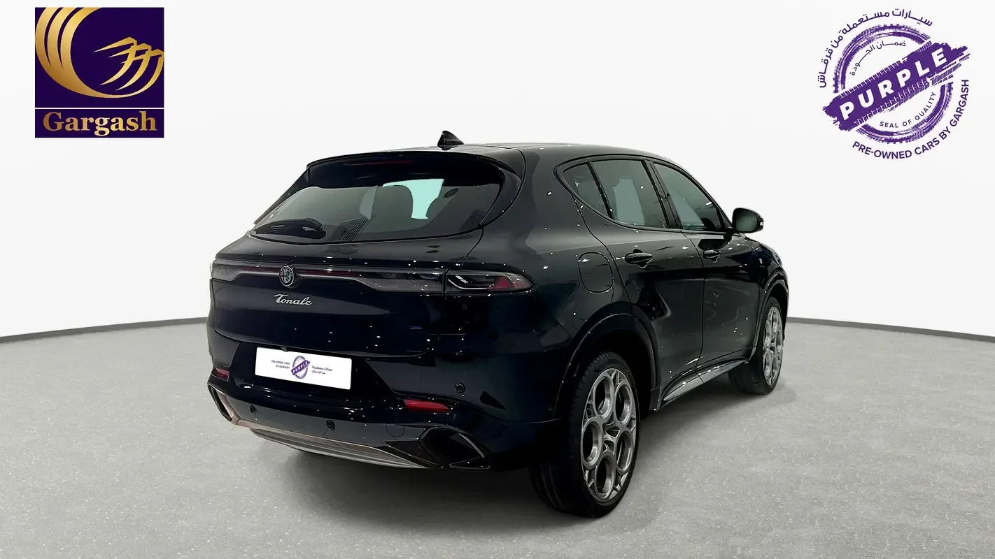 Alfa Romeo Tonale 2.0 AT 4WD (256 hp) - 6