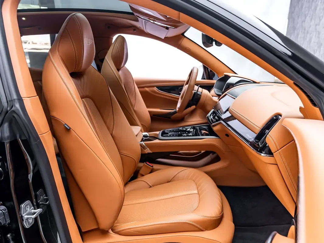 Aston Martin DBX 4.0 AT AWD (707 hp) - 13