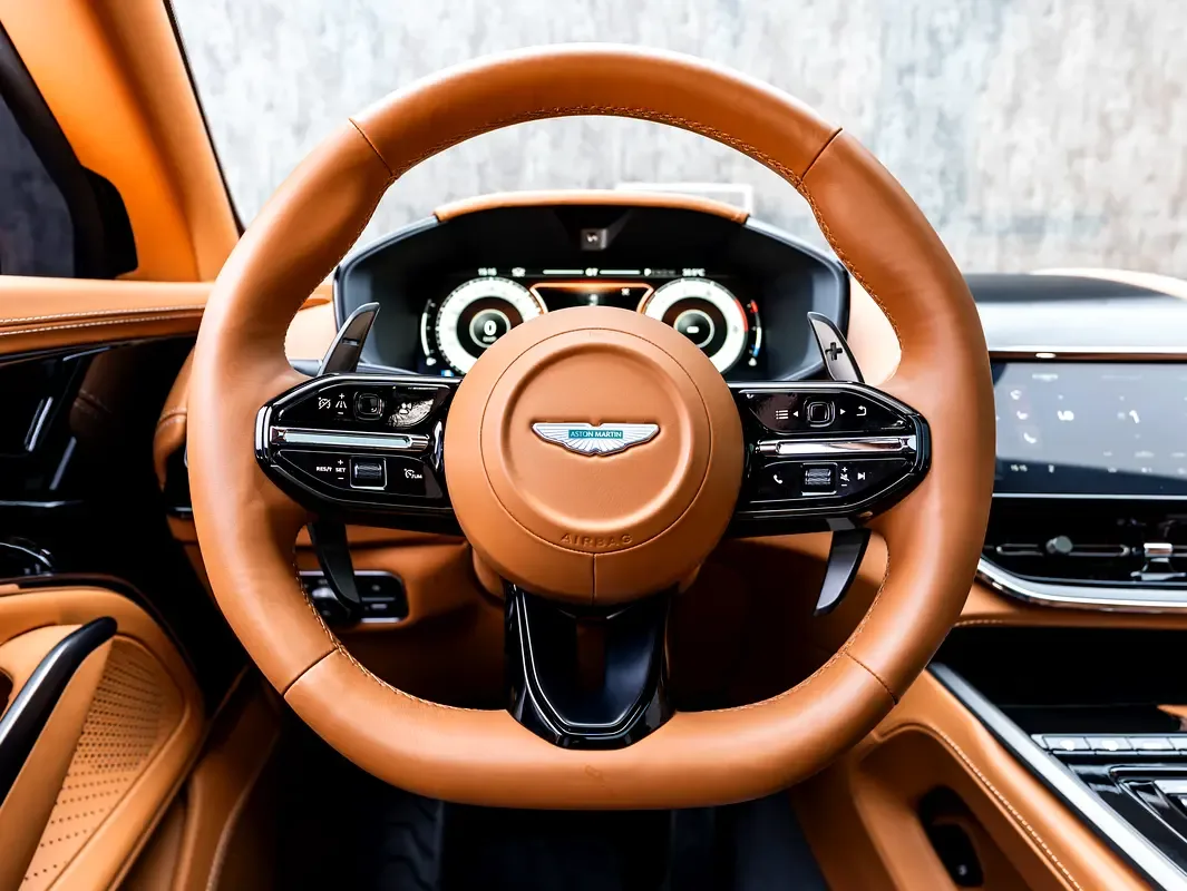 Aston Martin DBX 4.0 AT AWD (707 hp) - 16
