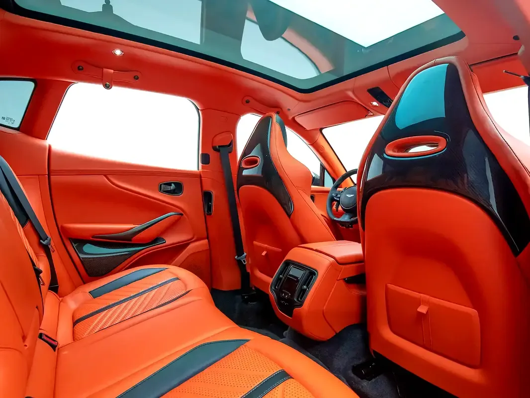 Aston Martin DBX 4.0 AT AWD (707 hp) - 17