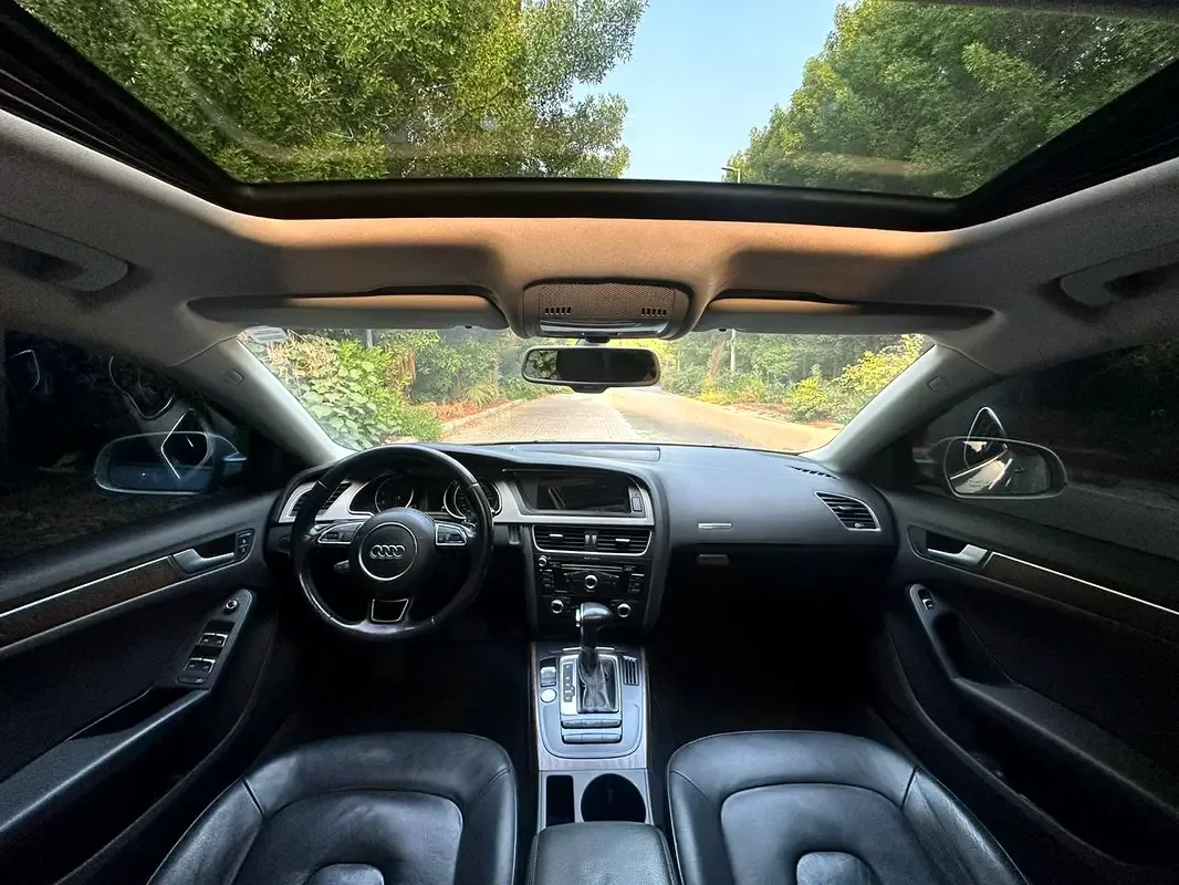 Audi A5 1.8 TFSI multitronic (170 hp) - 14
