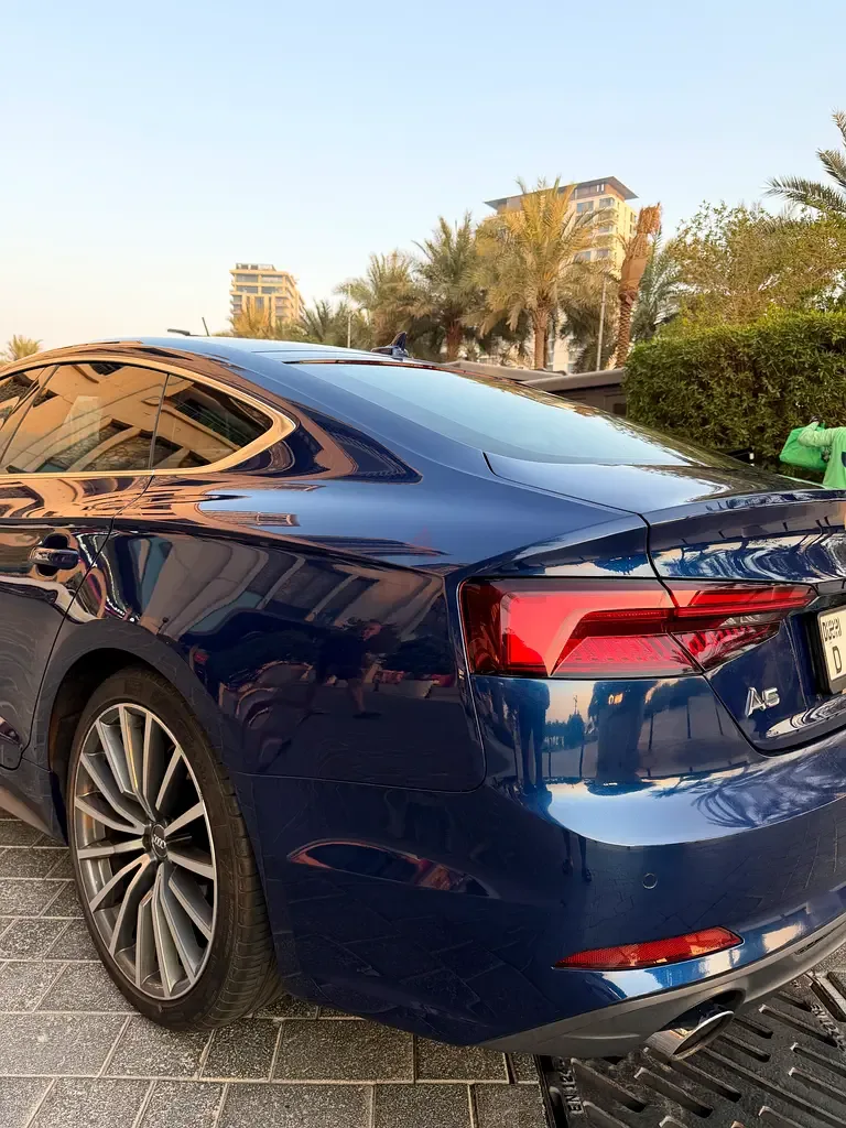 Audi A5 2.0 TFSI S tronic (190 hp) - 17