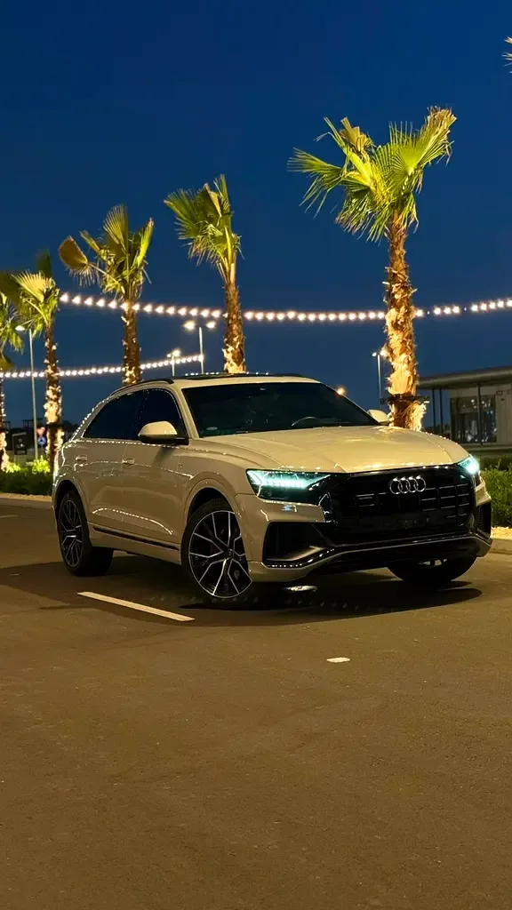 Audi Q8 55 TFSI Tiptronic quattro (340 hp)