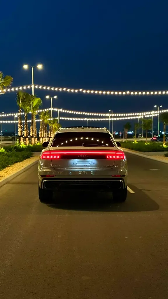 Audi Q8 55 TFSI Tiptronic quattro (340 hp) - 16