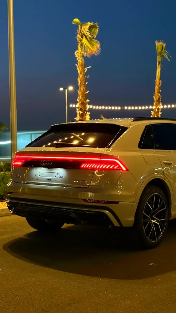 Audi Q8 55 TFSI Tiptronic quattro (340 hp) - 5