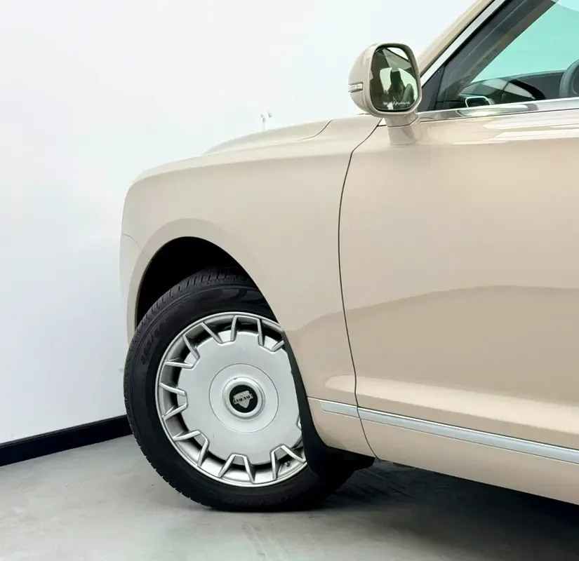 Aurus Senat 4.4 AT AWD (598 hp) - 7