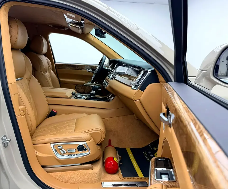 Aurus Senat 4.4 AT AWD (598 hp) - 10