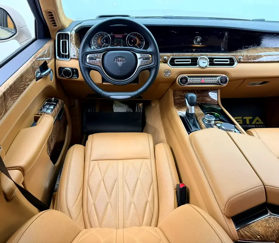 Aurus Senat 4.4 AT AWD (598 hp) - 15