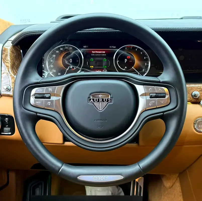 Aurus Senat 4.4 AT AWD (598 hp) - 16