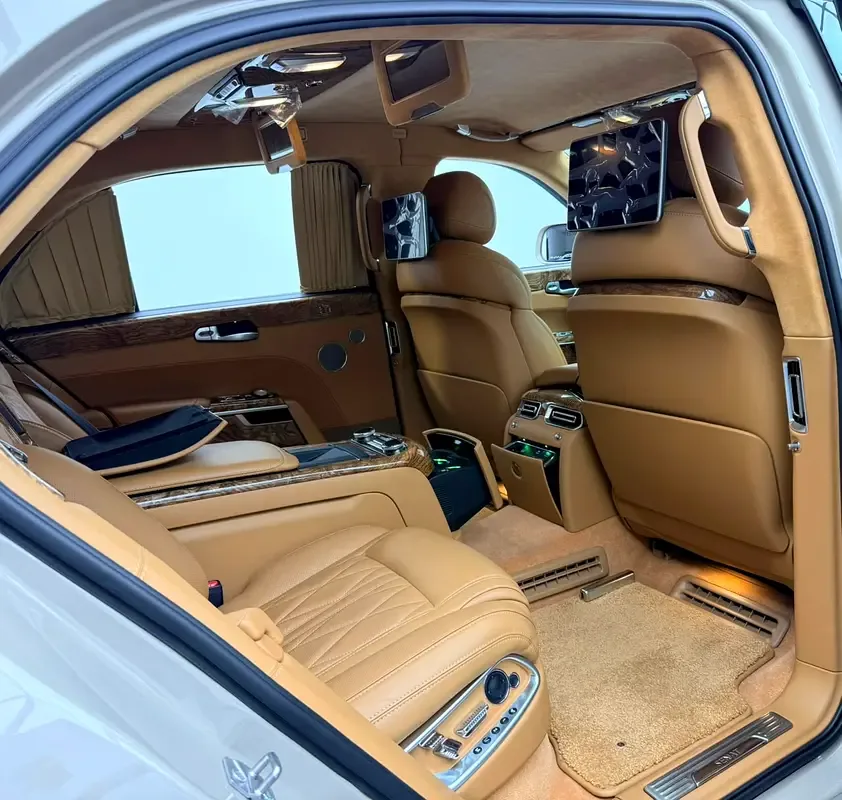 Aurus Senat 4.4 AT AWD (598 hp) - 19