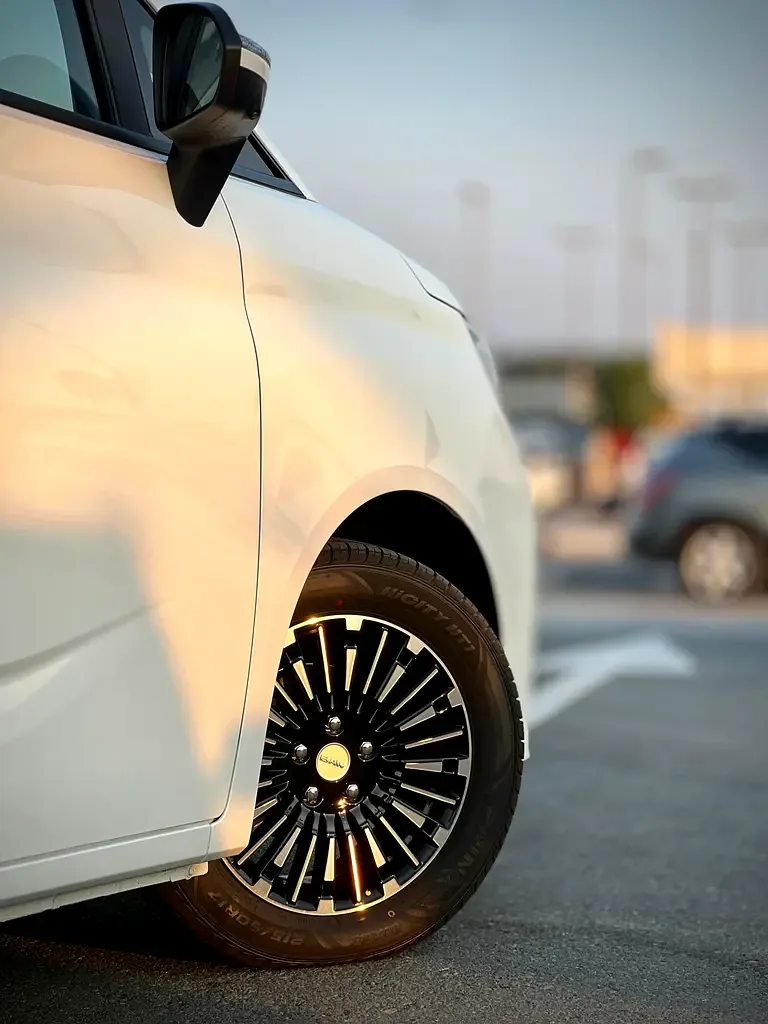 BAW MPV 2.0 AT RWD (144 hp) - 8