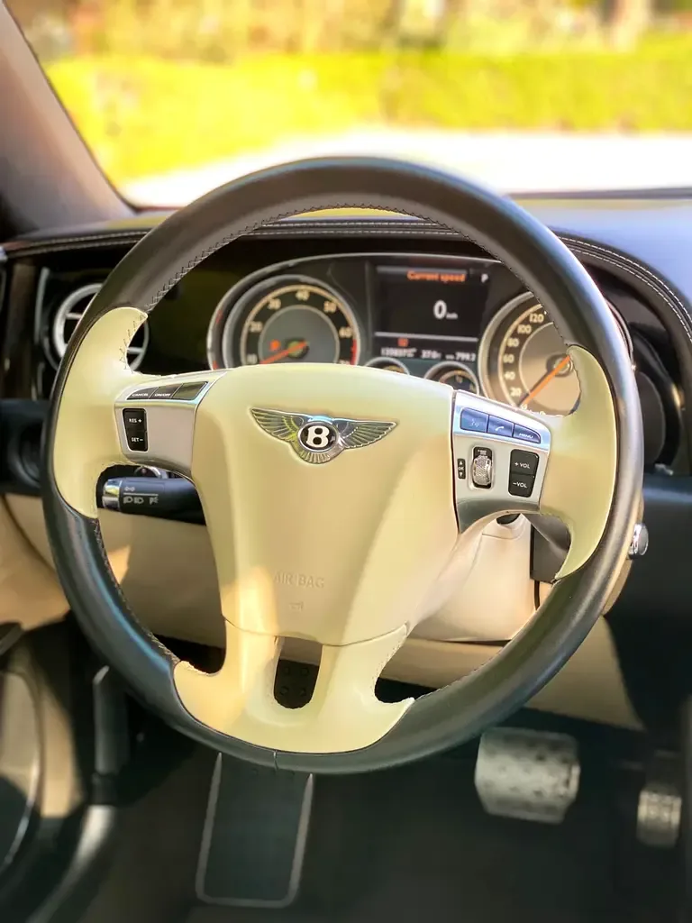 Bentley Flying Spur 6.0 W12 AWD AT (625 hp) - 18