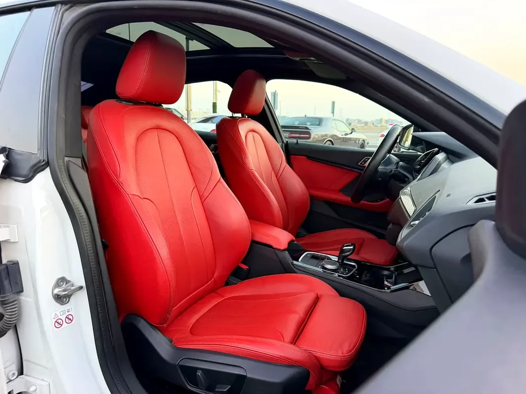 BMW 2 series 218i Steptronic (136 حصان) - 15