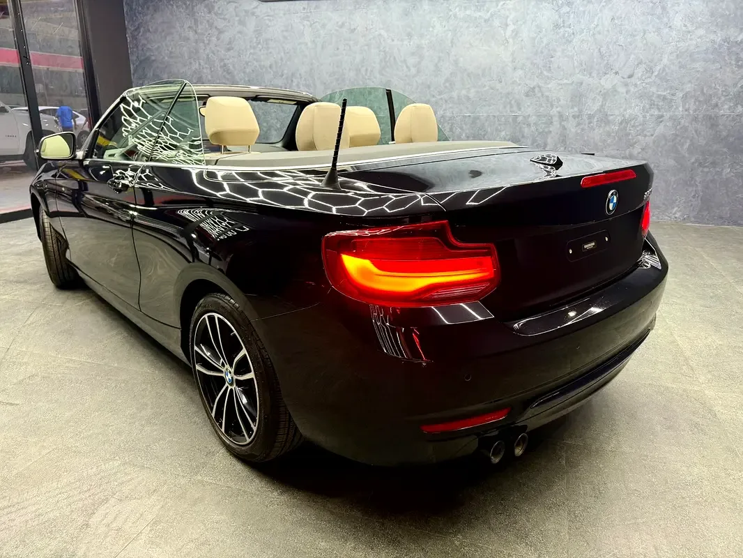 BMW 2 series 230i Steptronic (252 hp) - 13
