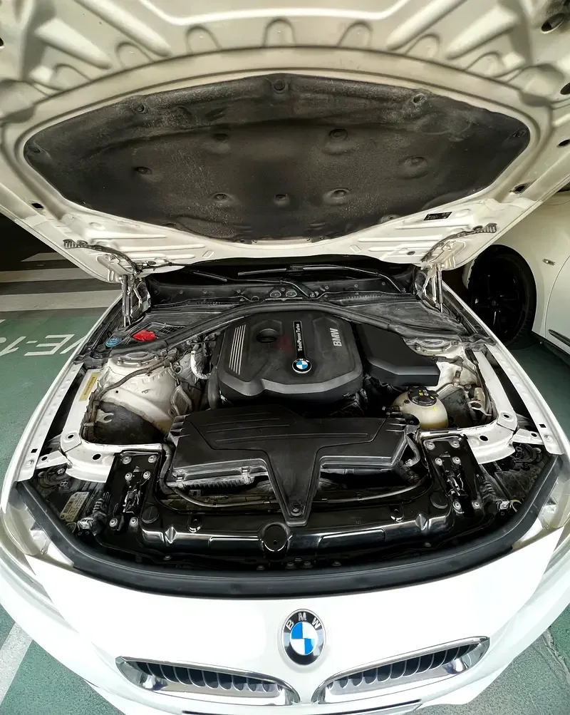 BMW 3 series 318i Steptronic (136 حصان) - 13