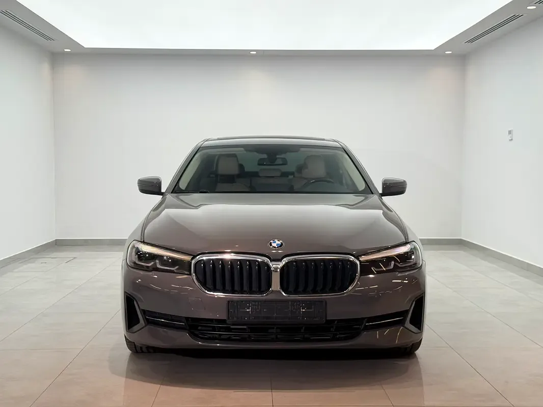 BMW 5 series 2.0 AT (184 hp)