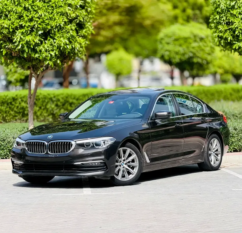 BMW 5 series 2.0 AT (184 حصان) - 3