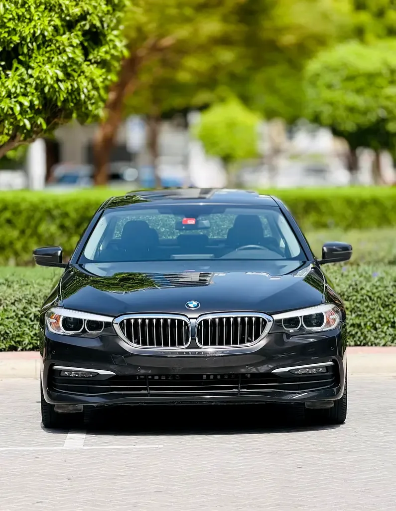 BMW 5 series 2.0 AT (184 حصان) - 2