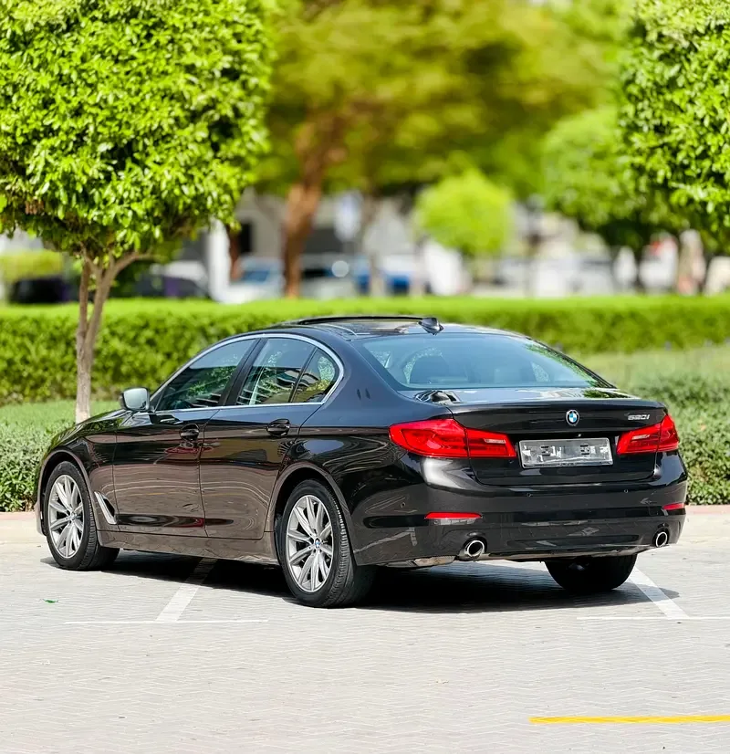 BMW 5 series 2.0 AT (184 حصان) - 6