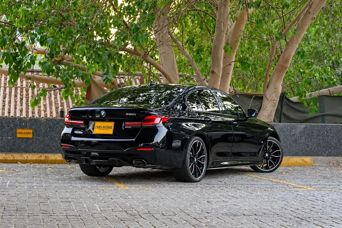 BMW 5 series 2.0 AT (184 hp) - 8