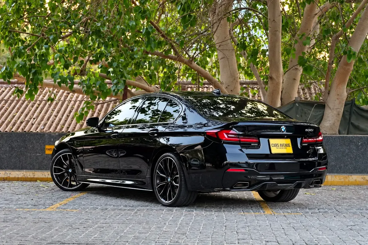 BMW 5 series 2.0 AT (184 hp) - 20