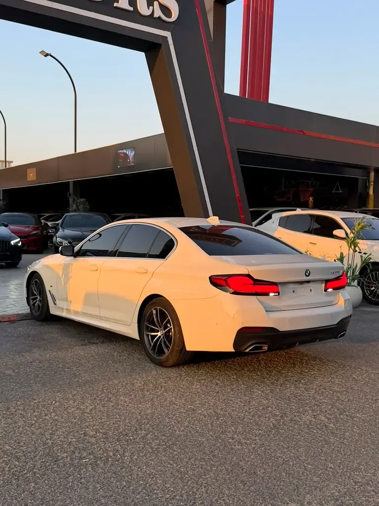 BMW 5 series 2.0 AT (184 حصان) - 5