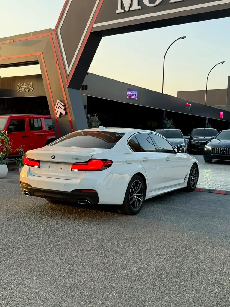 BMW 5 series 2.0 AT (184 حصان) - 6