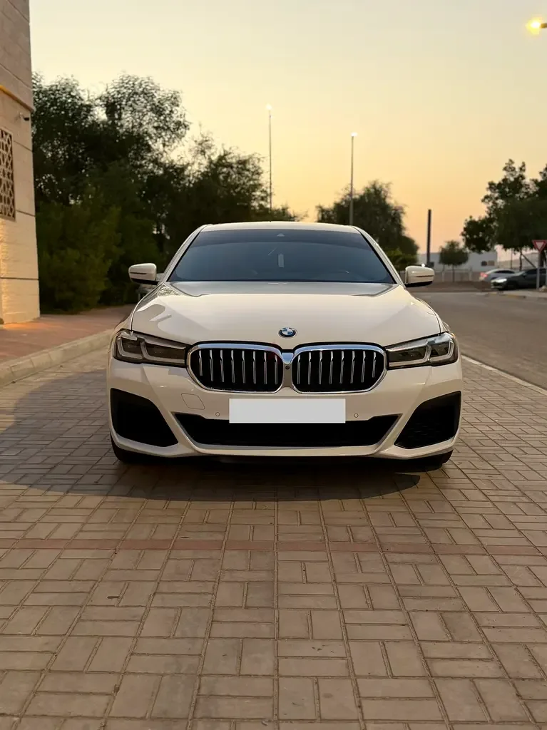 BMW 5 series 2.0 AT (252 hp) - 2