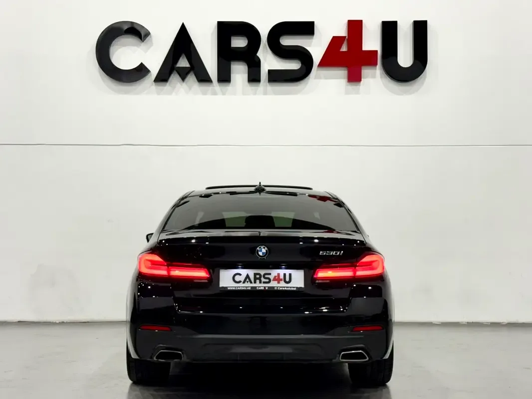 BMW 5 series 2.0 AT (252 hp) - 8