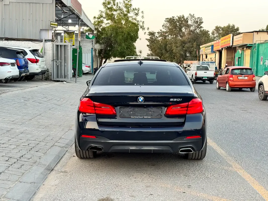 BMW 5 series 2.0 AT RWD (184 hp) - 3