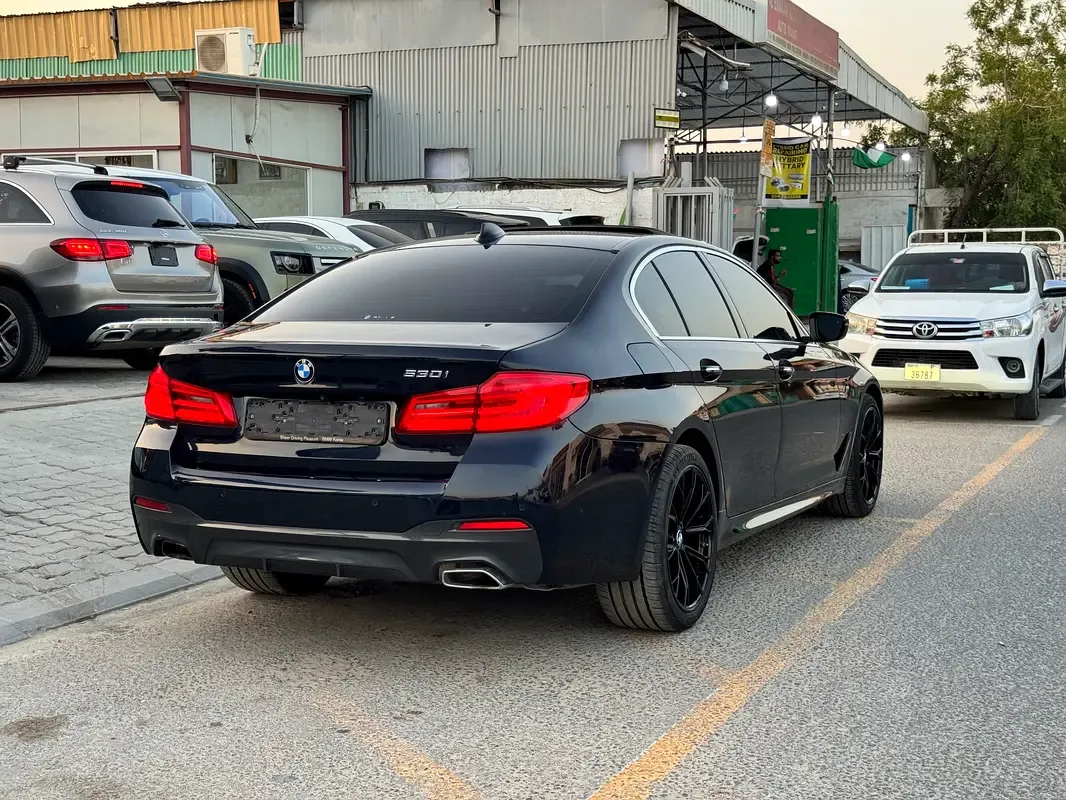 BMW 5 series 2.0 AT RWD (184 hp) - 6