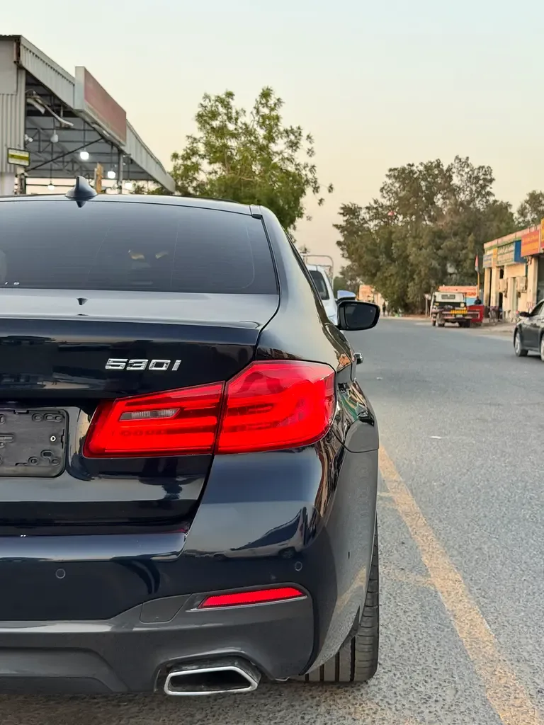 BMW 5 series 2.0 AT RWD (184 hp) - 18
