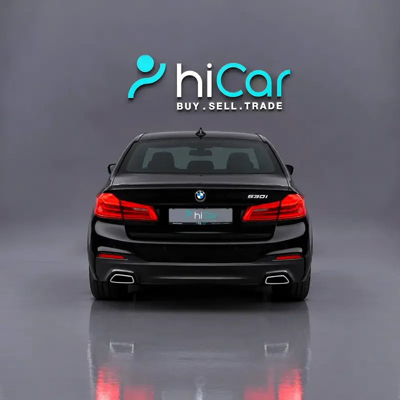 BMW 5 series 2.0 AT RWD (252 حصان) - 4